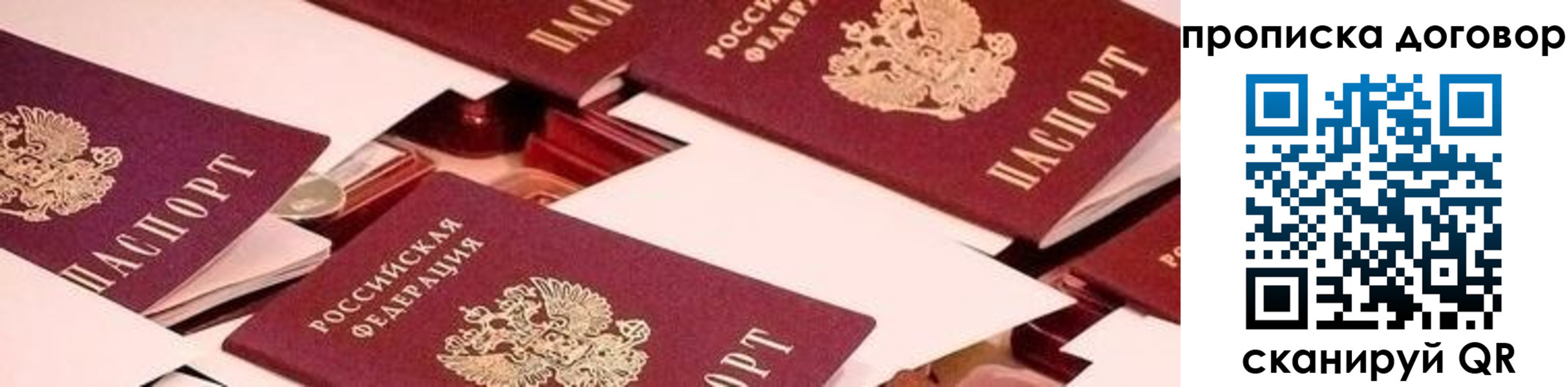 прописка 2025 в Ясногорске